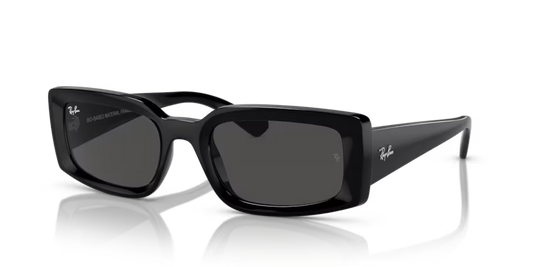 Ray Ban - Havana Sunglasses