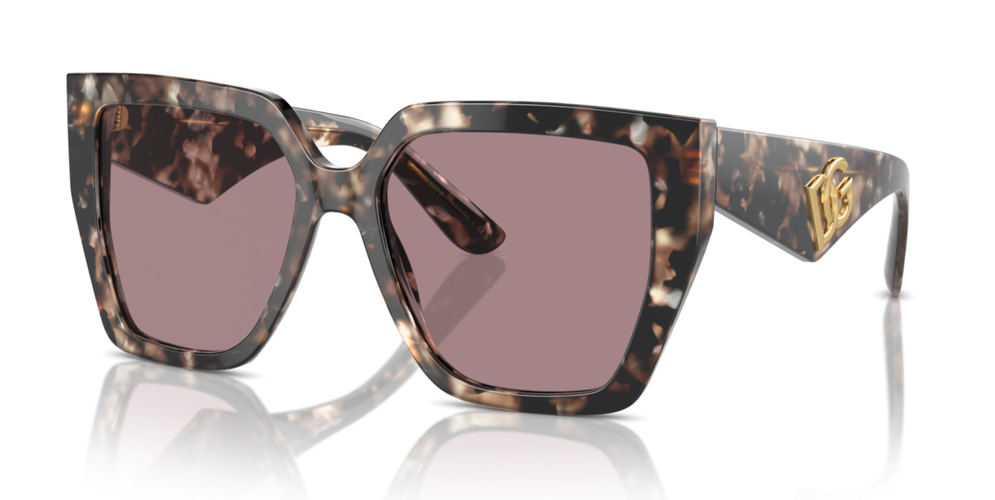 Dolce & Gabbana - Brown Transparent sunglasses