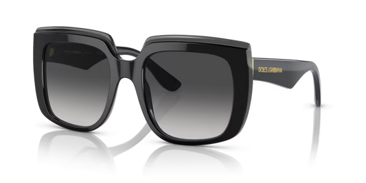 Dolce & Gabbana - Black Transparent Sunglasses